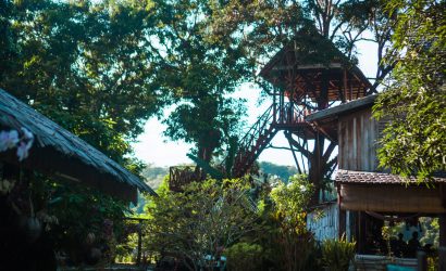 Rose Wood Tree House